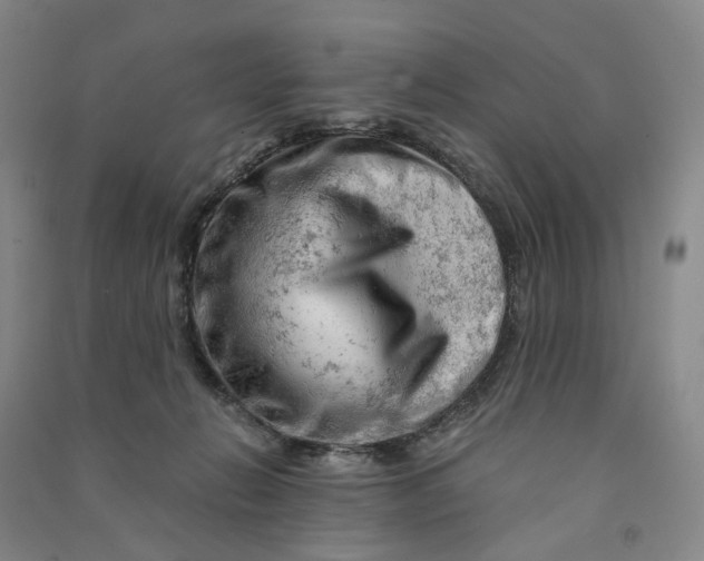 X0000090890270200708171712