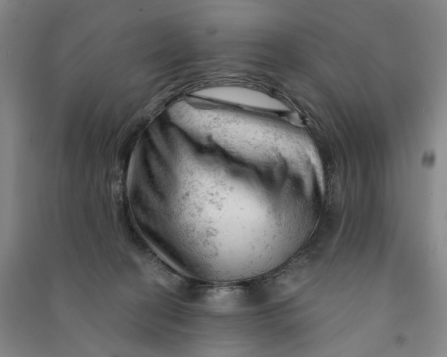 X0000090890274200708171712