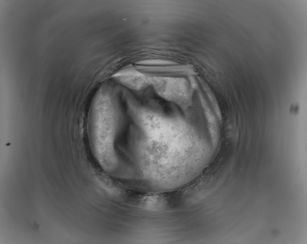 X0000090890275200708171712