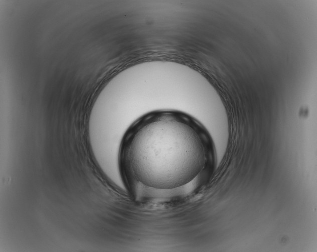 X0000090890276200708171712