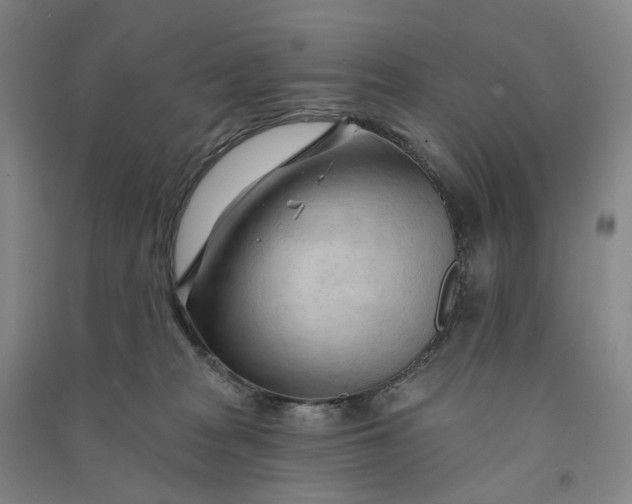 X0000090890277200708171712