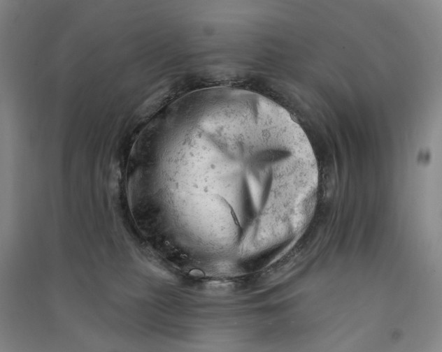 X0000090890279200708171712