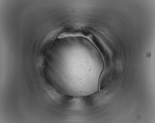 X0000090890280200708171712