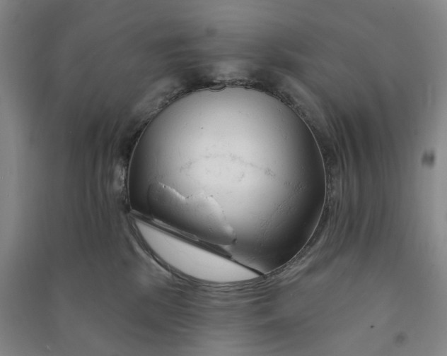 X0000090890281200708171712