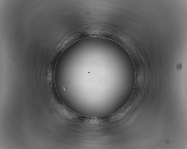 X0000090890282200708171712