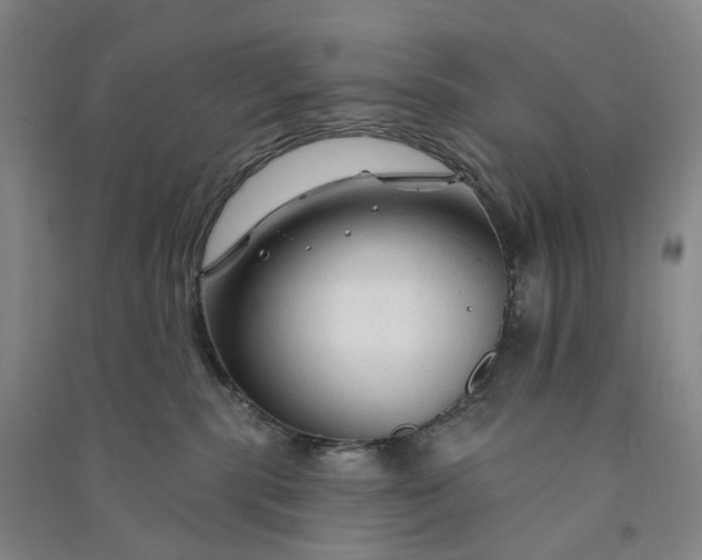 X0000090890283200708171712