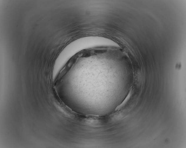 X0000090890284200708171712