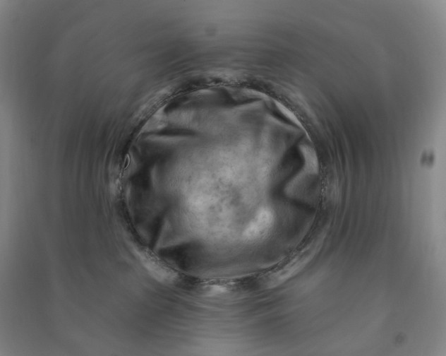 X0000090890285200708171712