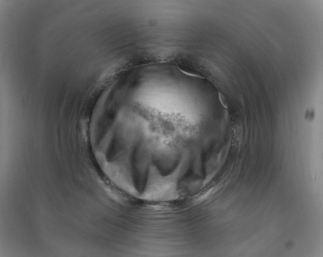 X0000090890286200708171712