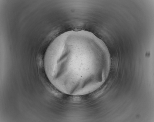 X0000090890287200708171712