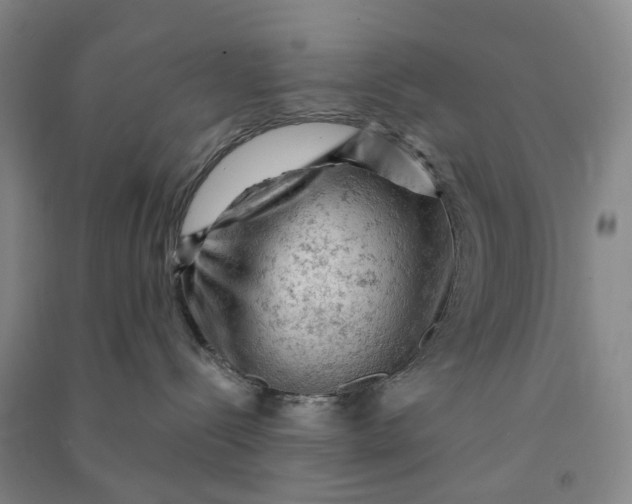 X0000090890288200708171712