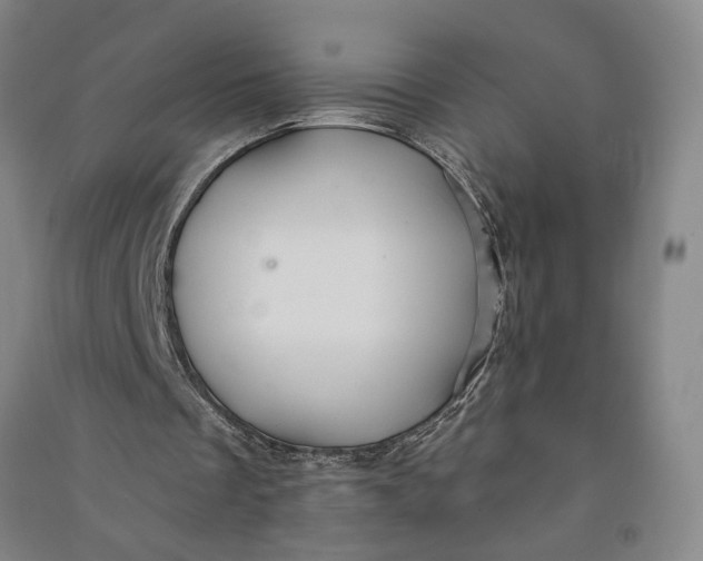 X0000090890289200708171711