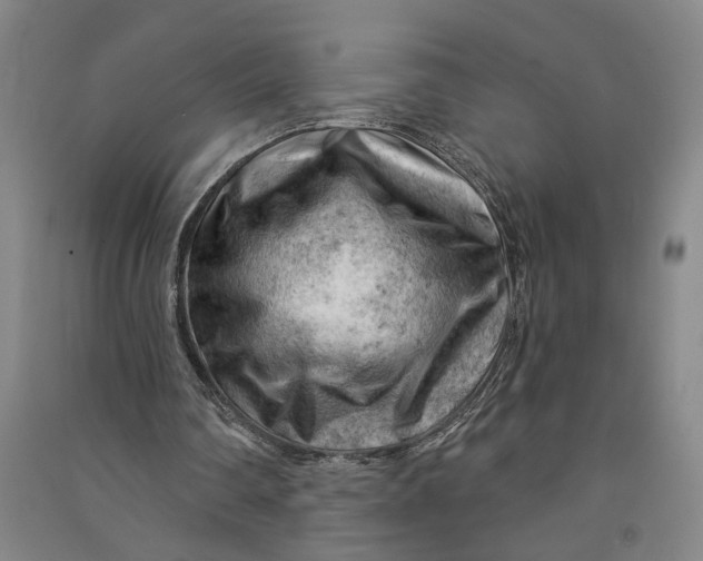 X0000090890290200708171711