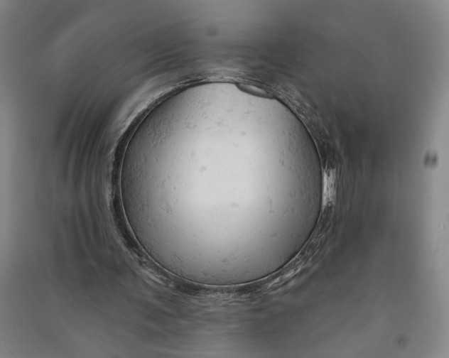 X0000090890291200708171711