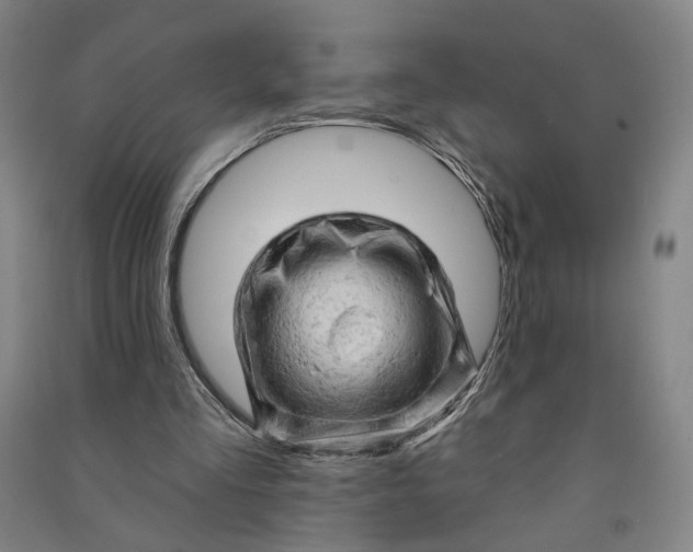 X0000090890293200708171711