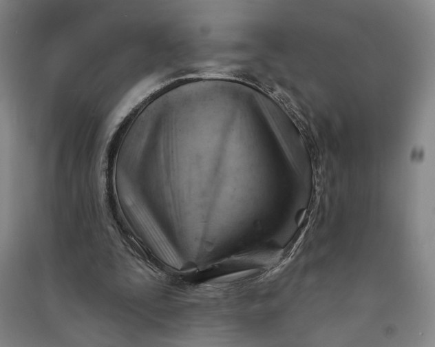 X0000090890295200708171711