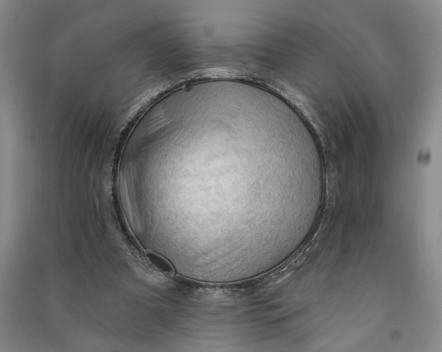 X0000090890297200708171711