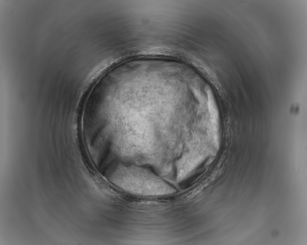 X0000090890298200708171711