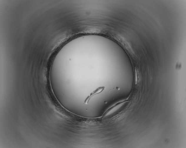 X0000090890300200708171711