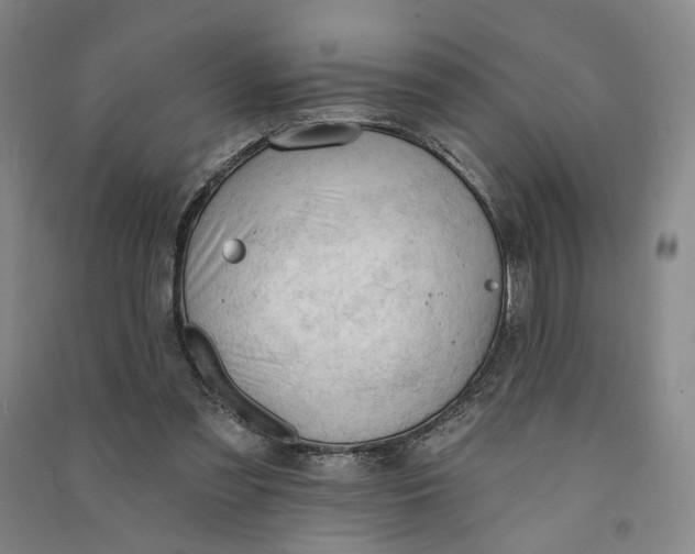 X0000090890301200708171711