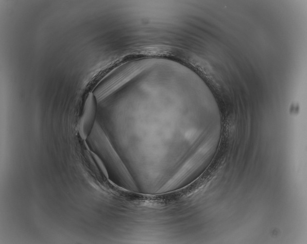 X0000090890303200708171711