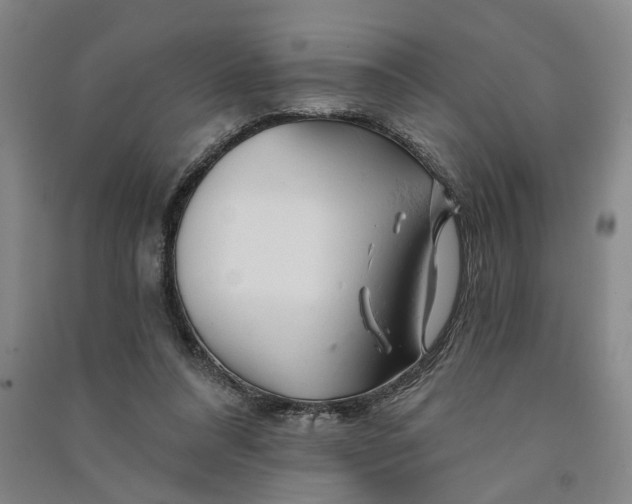 X0000090890304200708171711