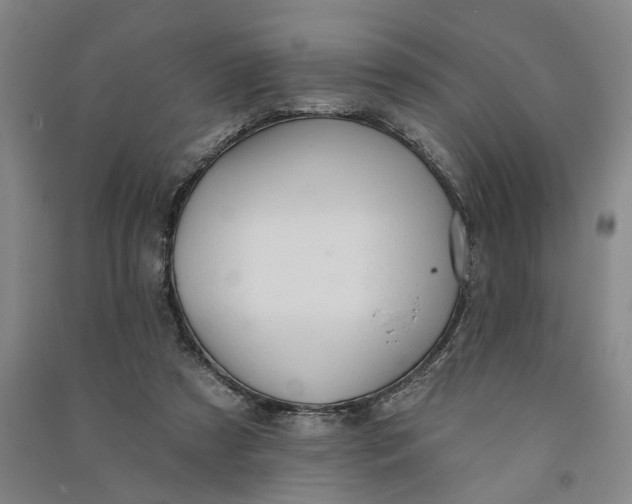 X0000090890305200708171711