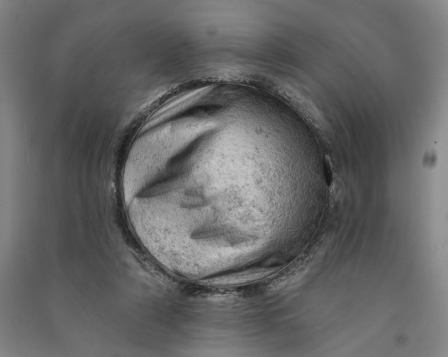 X0000090890306200708171711