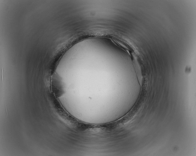 X0000090890307200708171711