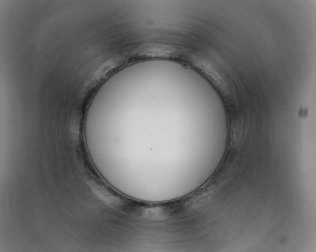 X0000090890309200708171711