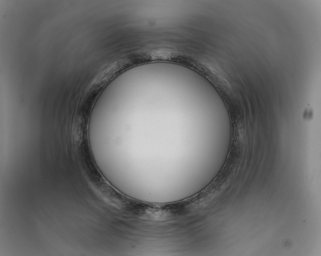 X0000090890311200708171711