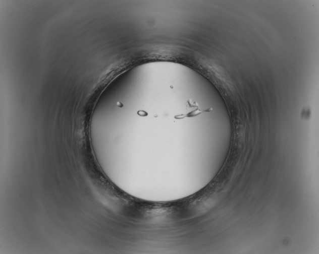 X0000090890312200708171711