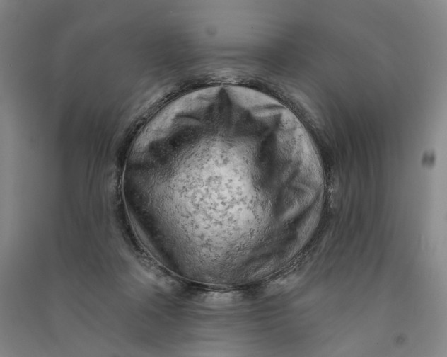 X0000090890314200708171711