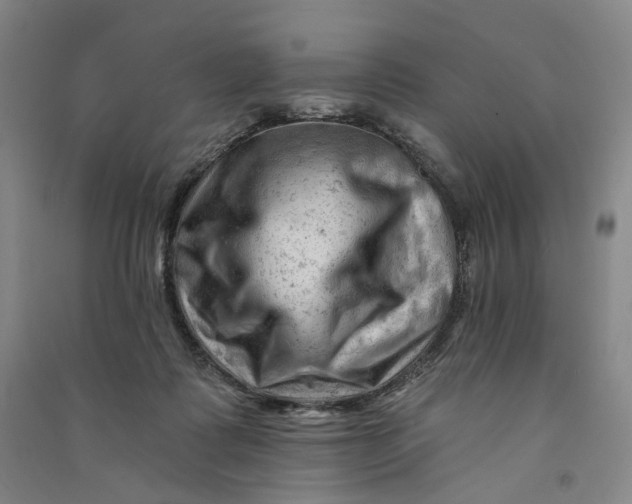 X0000090890315200708171711