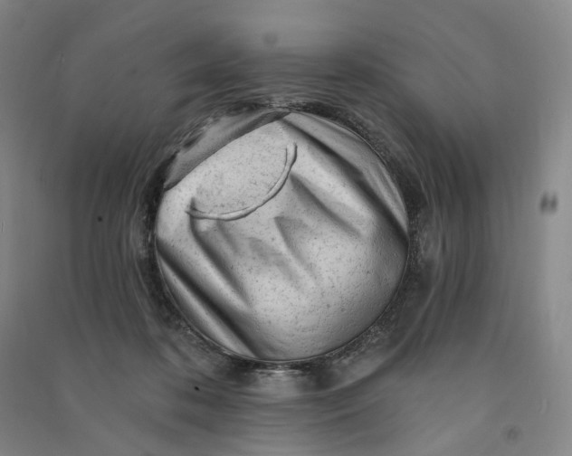 X0000090890316200708171711