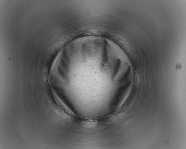 X0000090890318200708171711