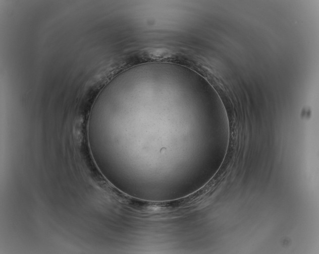 X0000090890319200708171711