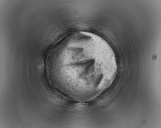 X0000090890320200708171711