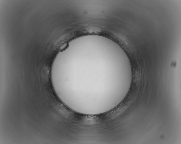 X0000090890321200708171711