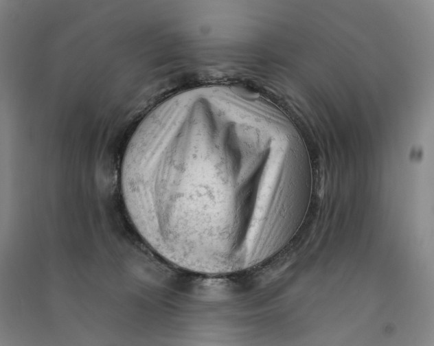 X0000090890324200708171711