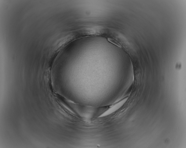 X0000090890325200708171711