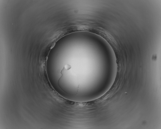 X0000090890329200708171711