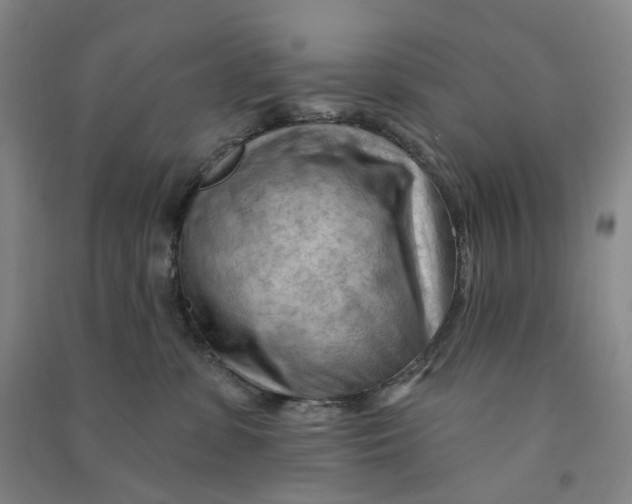 X0000090890331200708171711