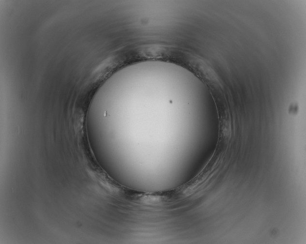 X0000090890332200708171711