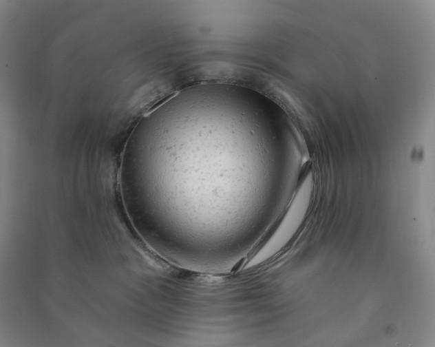 X0000090890333200708171711