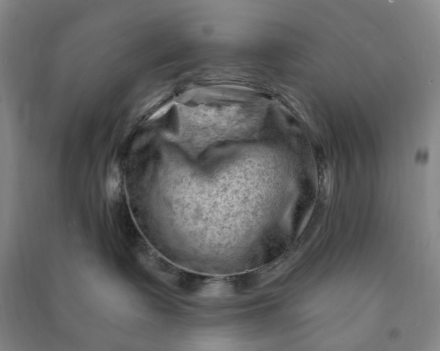 X0000090890335200708171711