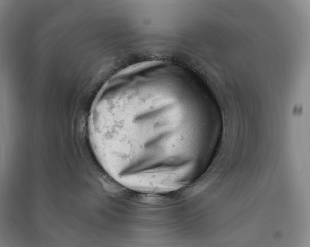 X0000090890336200708171711