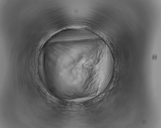 X0000090890337200708171710