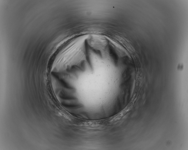 X0000090890338200708171710