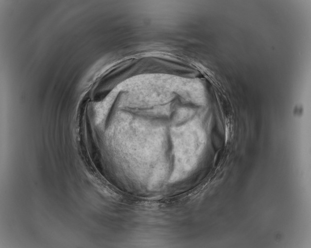 X0000090890339200708171710